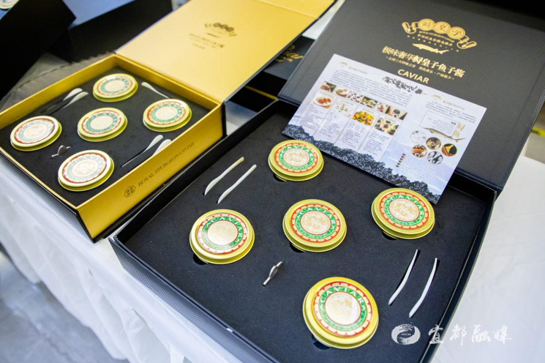 快看~宜都版“疯狂动物城”！