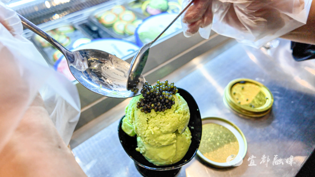 快看~宜都版“疯狂动物城”！