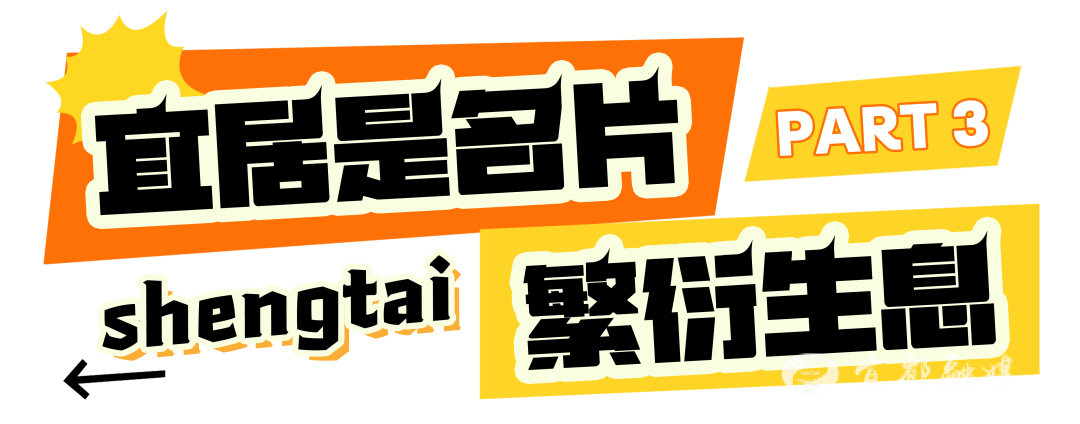 快看~宜都版“疯狂动物城”！
