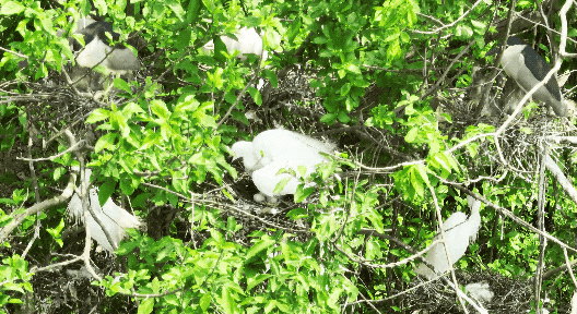 快看~宜都版“疯狂动物城”！