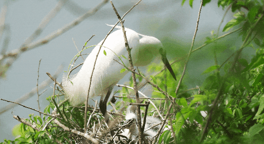 快看~宜都版“疯狂动物城”！