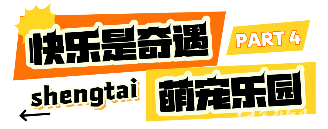 快看~宜都版“疯狂动物城”!