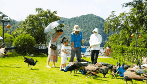 快看~宜都版“疯狂动物城”！