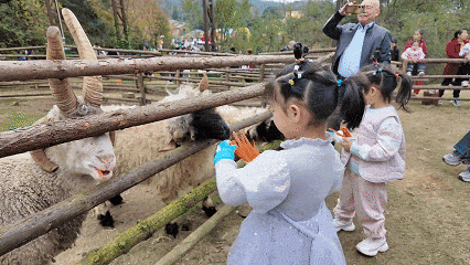 快看~宜都版“疯狂动物城”！