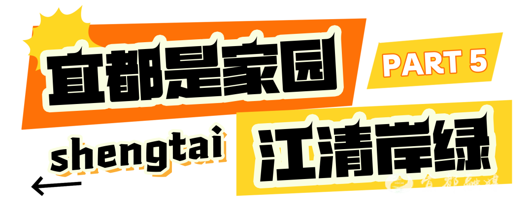 快看~宜都版“疯狂动物城”！