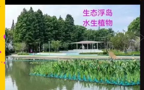 华中农业大学在全球植被韧性变异方面取得新进展