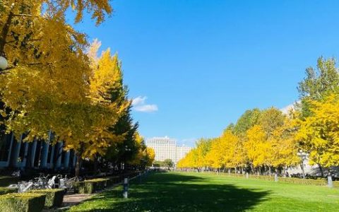 “我的秋日答卷”校园摄影活动作品出炉