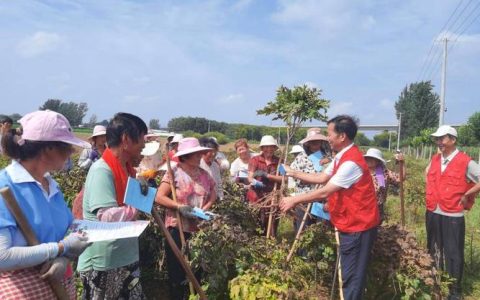 科技特派员送技术到农家