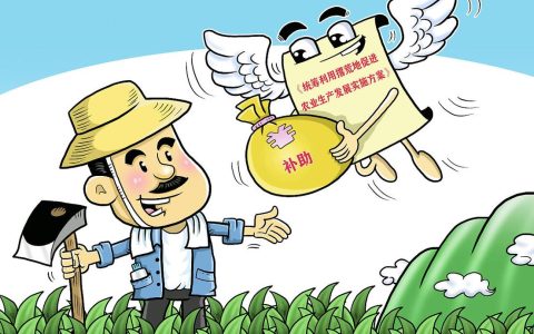 一企摘金　全域深耕