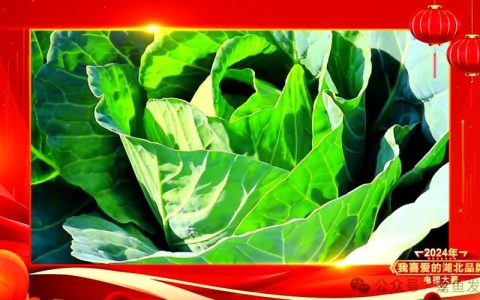 “我喜爱的湖北品牌”电视大赛决赛 嘉鱼甘蓝荣获金奖