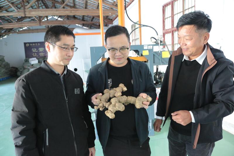 冬闲人不闲 药材生金链——阳新中药材全产业链赋能乡村振兴