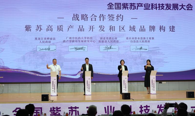 冬闲人不闲 药材生金链——阳新中药材全产业链赋能乡村振兴