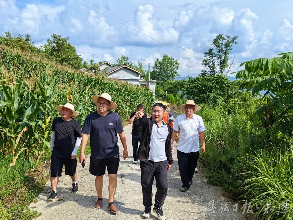 项目吹哨 干部报到——恩施市屯堡乡优化营商环境服务重大项目建设书写“民生答卷”