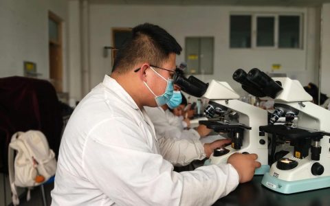 华中农业大学有机光电材料研究团队在多孔光功能材料构筑领域取得新进展