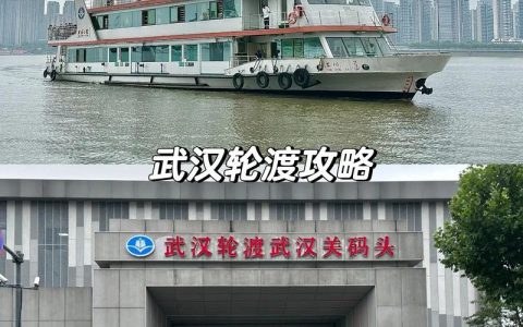 武汉这个小码头变身国际港口，怎么做到的？