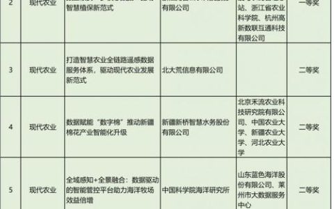 武昌组织推荐项目荣获“数据要素×”大赛多项国家级和省级奖项