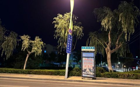 路灯亮了 民心暖了——大桥社区点亮居民出行路