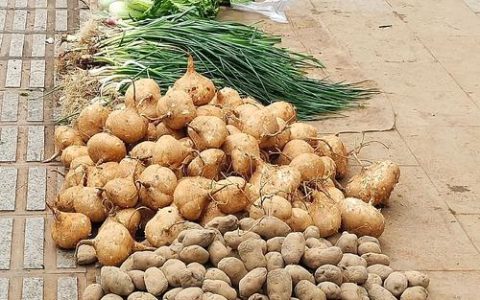 潜江：一人，百犬，二十七年！