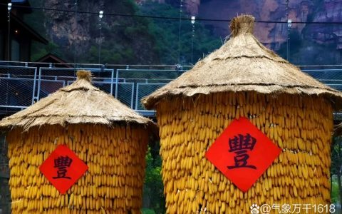 冬闲田不闲　草垛变“金”景  阳新秸秆收贮点成网红打卡地