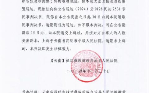 2875元民生纠纷小案“云端”化解