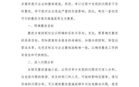 推动审计问题改到位暖民心