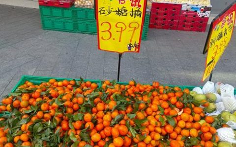 黄梅爱心企业帮农户销售橘子3000余公斤