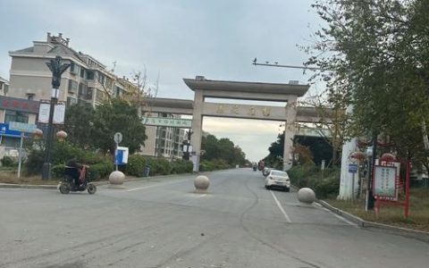 黄州区南湖街坊“捡”出美丽新家园