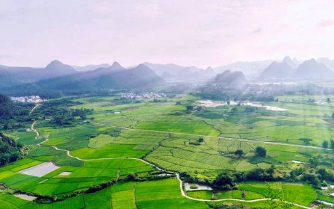 回龙山镇和美乡村建设提质提速