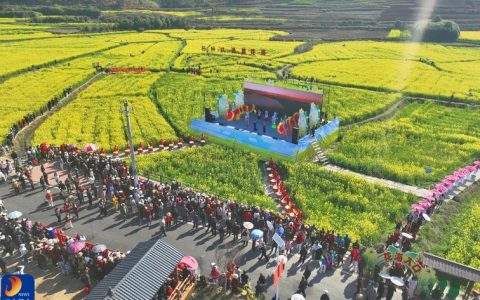 通山大路乡杨狮坑村果蔬轮作带来甜蜜希望