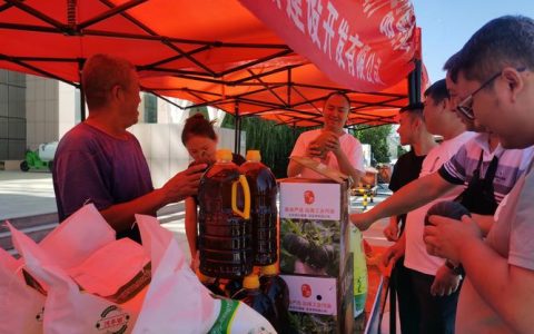 新车云集 农产飘香 通山专场展销点燃县域消费热