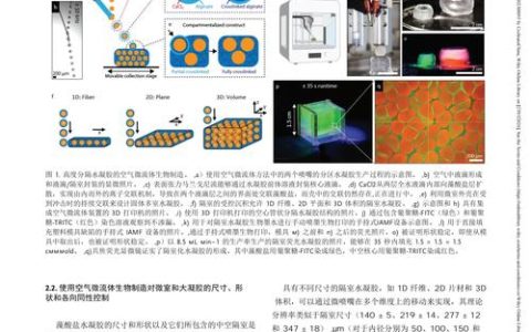 别之龙教授团队揭示CmoBI1L介导南瓜耐盐性的分子机制