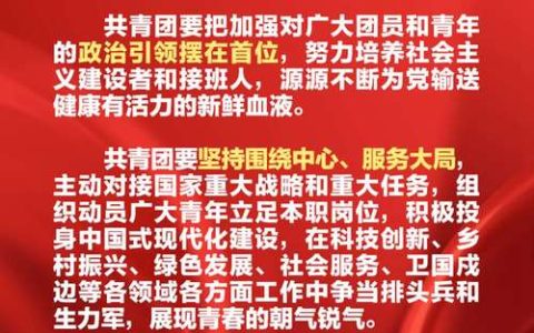 中国共青团：深化党建带团建，纵深推进全面从严管团治团