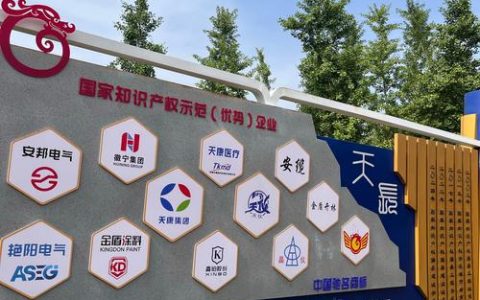 “集聚效应”激活创新“一池春水” 黄石全力建设知识产权服务业集聚发展区