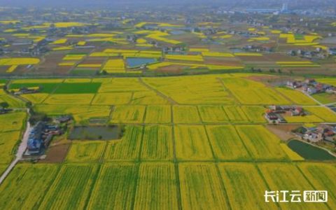 1湖北省自然资源厅党组书记、厅长何开文：优化国土空间发展格局 当好“大管家”