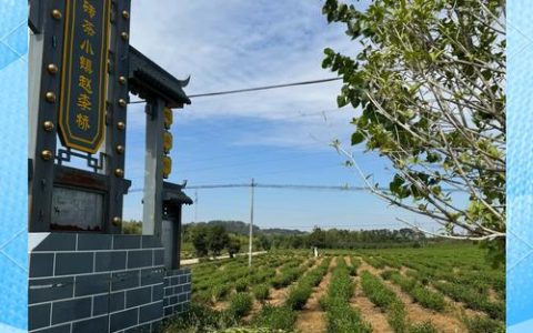 乾泰恒·茶涧山房青砖茶文化体验园开工建设 赤壁打造茶文旅新标杆