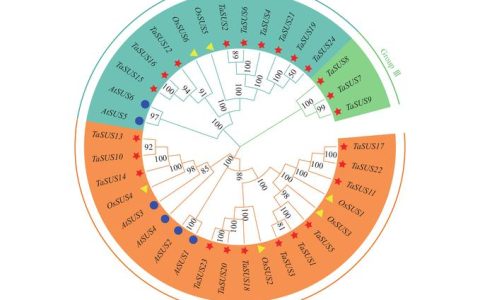 华中农业大学联合发布全球首个油菜泛转座子图谱，揭示“跳跃基因”调控开花期和产量新机制