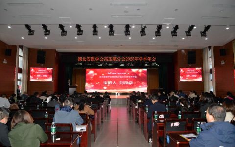 湖北省市场营销学会2025年学术年会圆满落幕