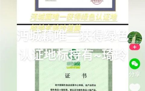 沔城藕获“我喜爱的湖北品牌”电视大赛银奖