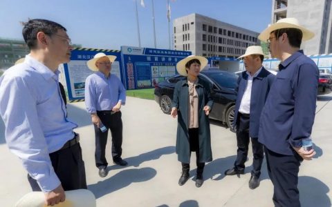 胡志莉调研全市重点项目建设