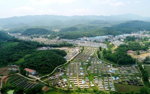 “山间珍味”变身“全球俏货”！随县“富民菇”藏着怎样的振兴密码？