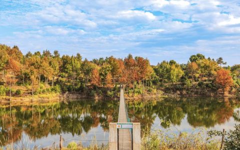 最佳观赏期已到！邂逅麻城冬日柔美风景~