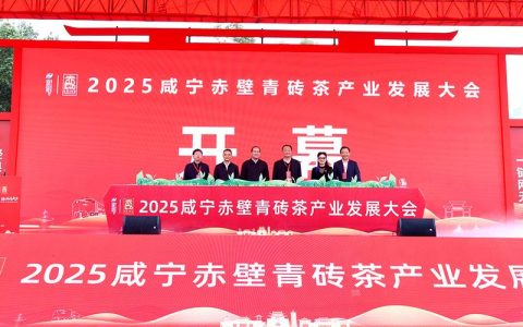 茶业古镇添引擎  赤壁3亿茶旅项目开工