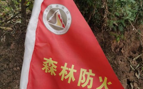 赤壁市官塘驿林场79公里防火线高标准验收 为青山披上“防火甲”