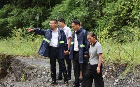 熊征宇调研武汉经开区武昌区