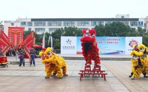 2金2银4铜！湖北大学龙狮团全国锦标赛再创佳绩