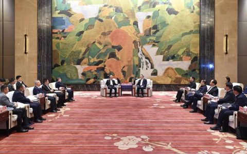 盛阅春赴蔡甸区调研并召开车谷区域协同发展座谈会：协同联动，共谋发展，高水平打造“世界车谷”