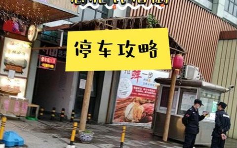 恩施市多措并举破解城区“停车难”