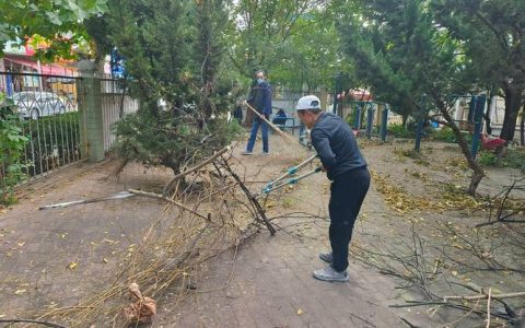 社区开展专业修剪行动  给树木“理发”　为小区“美颜”