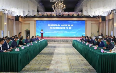 与“城市合伙人”同心共赢——荆门市“楚商回乡 共建支点”工作回眸