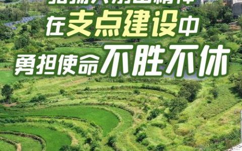 在建成支点大局中勇担使命